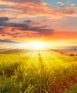 Physical Health Links for A New Story Counseling in Denver, CO