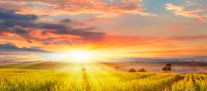 Physical Health Links